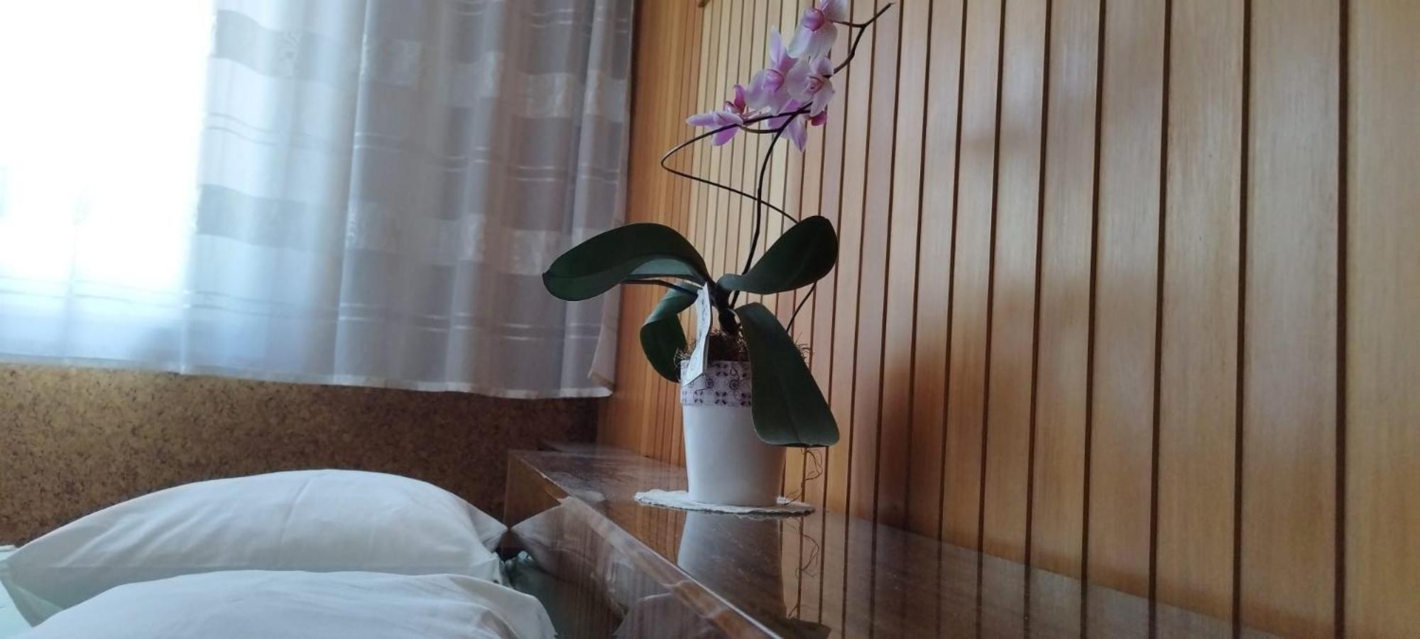 7 Flower Street Apartment Sempeter pri Gorici Luaran gambar